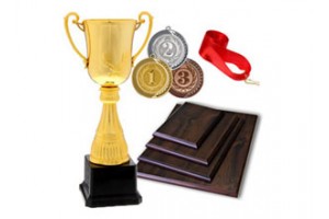 Наградная продукция